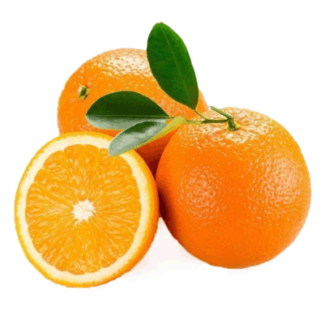 Апельсины תפוזים