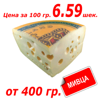 Сыр Масдам גבינה מסדם