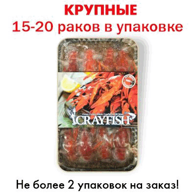 Раки вареные в укропе по Одесски 1,8 кг. סרטנים מבושלים עם שמיר
