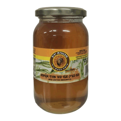 Мед эвкалиптовый 0,5 кг. דבש אקליפטוס